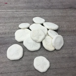 Natural Sand Dollars 1 inch - Bulk Sea Biscuits for Crafts, Decor, Wedding Favors, Terrariums - Image 1