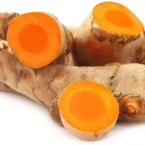 Organic Yellow Turmeric Live Plant - 2 Curcuma Longa Rhizomes, 4-6 inch, Indoor/Outdoor - Image 5