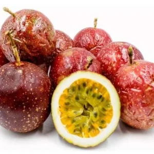 Panama Red Passion Fruit Live Plant - Passiflora Edulis - 4 inch Tall - Image 2