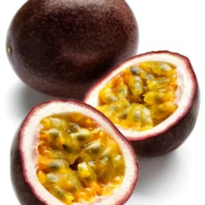 Passiflora Edulis Possum Purple Passion Fruit Live Plant - 4inch Tall - Image 2