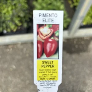 Pimento Elite Sweet Pepper Live Plants - Set of 3, Heart-Shaped, Red - Image 2