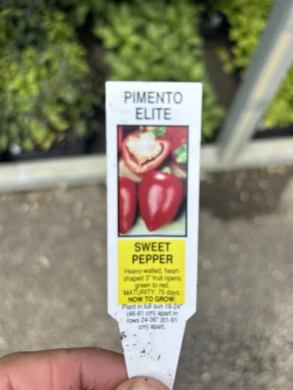 Pimento Elite Sweet Pepper Live Plants - Set of 3, Heart-Shaped, Red - Image 2