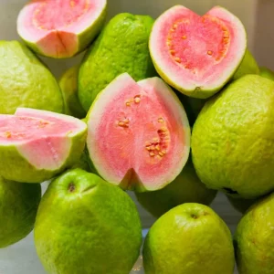 Pink Guava Live Plant – 14-18in Tall – 1 Gallon Pot – Tropical Fruit Tree - Image 3