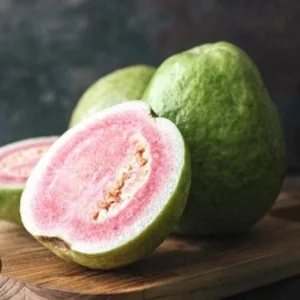 Pink Guava Live Plant - 6 inch Pot - Tropical Fruit Tree - Indoor/Outdoor - Image 2