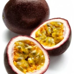 Purple Passion Fruit Plant Starter - Passiflora 'Purple Possum' Live Vine 4-6 inches - Image 4