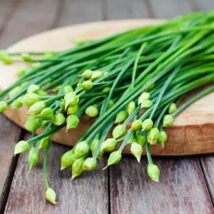 Set of 2 Garlic Chives Live Plant 4in Tall - Culinary Herb - Image 2