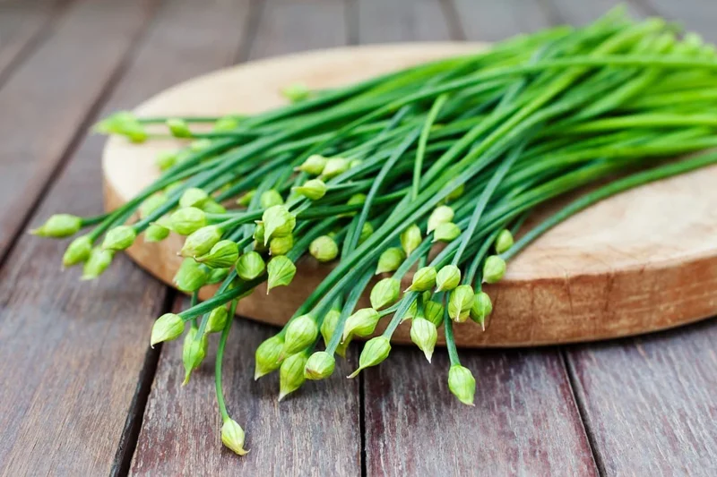 Set of 2 Garlic Chives Live Plant 4in Tall - Culinary Herb - Image 2