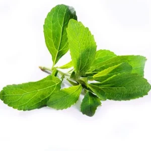 Stevia Live Plants (3-Pack) - Sweetleaf Herb Starter Plants for Natural Sweetener, USDA Zones 8-11 - Image 1