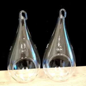 Teardrop Glass Terrarium Kit Set of 2 with 4 Air Plants, Shells, Sand - 7 Inch DIY Indoor Decor - Image 2