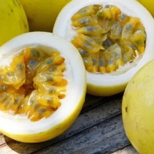 Yellow Passion Fruit Live Plant – 4 inch Pot – Fast-Growing, Edible Vine - Image 2