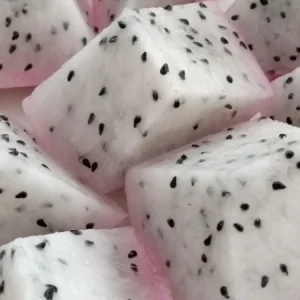 10 Mature Organic Large White Flesh Dragon Fruit Live Cacti Cuttings 8