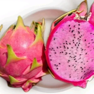10 Organic Pink Dragon Fruit Cuttings - 8"+ Live Cactus for Outdoor Planting, Hylocereus - Image 2