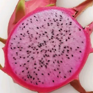 10 Organic Pink Dragon Fruit Cuttings - 8"+ Live Cactus for Outdoor Planting, Hylocereus - Image 1