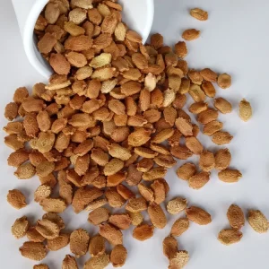15 Chinese Bitter Melon Seeds - Heirloom Vegetable Gourd Squash Seeds - Outdoor - Image 2