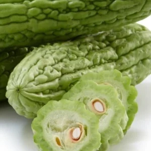 15 Chinese Bitter Melon Seeds - Heirloom Vegetable Gourd Squash Seeds - Outdoor - Image 8
