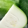 15 Giant Winter Melon Wax Gourd Squash Seeds Green White Gray Outdoor - Image 1