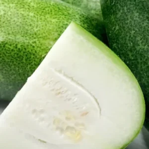 15 Giant Winter Melon Wax Gourd Squash Seeds Green White Gray Outdoor - Image 1