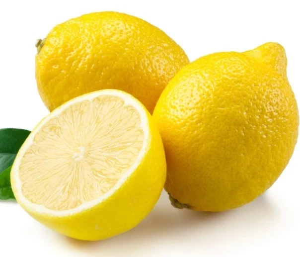 15 Organic Lemon Seeds - NON-GMO Citrus Fruit Seeds - USA Grown - Image 2