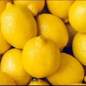15 Organic Lemon Seeds - NON-GMO Citrus Fruit Seeds - USA Grown - Image 3