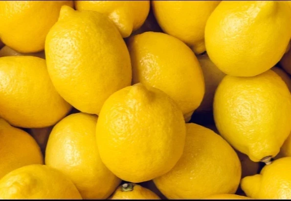 15 Organic Lemon Seeds - NON-GMO Citrus Fruit Seeds - USA Grown - Image 3