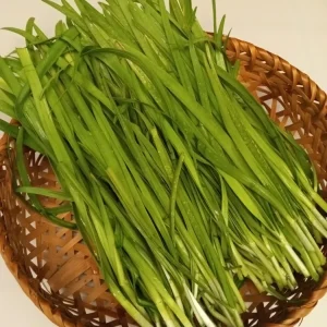 20 Garlic Chives Live Organic Bare Root Perennial Herb - Outdoor - Image 7