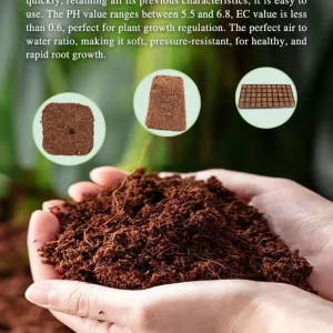 200 Coco Coir Plugs - Seed Starter Cubes for Gardening & Hydroponics - Image 3