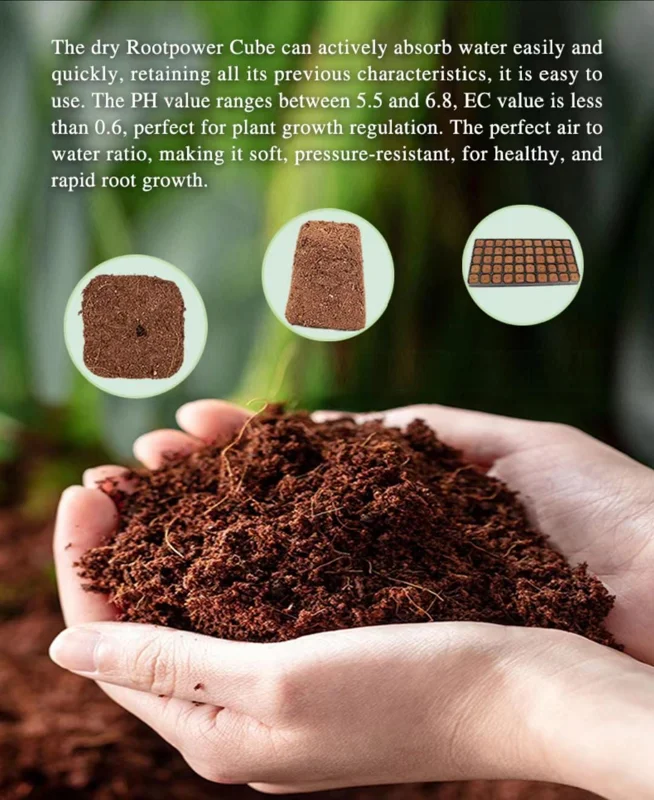 200 Coco Coir Plugs - Seed Starter Cubes for Gardening & Hydroponics - Image 3