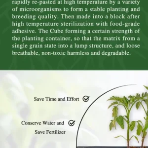 200 Coco Coir Plugs - Seed Starter Cubes for Gardening & Hydroponics - Image 6