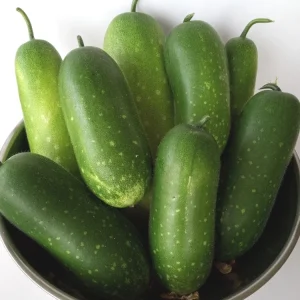 30+ Fuzzy Melon Wax Gourd Seeds - Hairy Squash Vegetable Seeds - Image 3