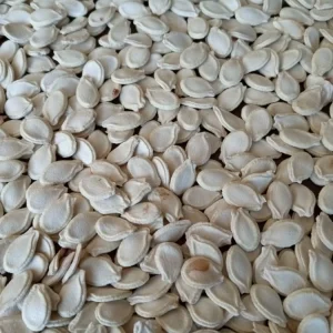 30+ Fuzzy Melon Wax Gourd Seeds - Hairy Squash Vegetable Seeds - Image 8
