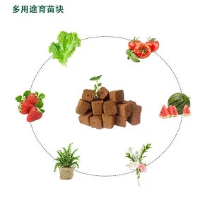 50 Coco Plugs Seed Starter Cubes Rooting & Germination Medium - Image 10