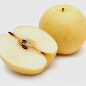 Asian Sand Pear Seed Pack – 10 Edible Fruit Tree Seeds – Pyrus Pyrifolia – Outdoor - Image 2