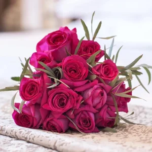 Belles Rives Rose Live Plant – Crimson Red, Fragrant, Repeat Bloomer – 90cm Tall - Image 2