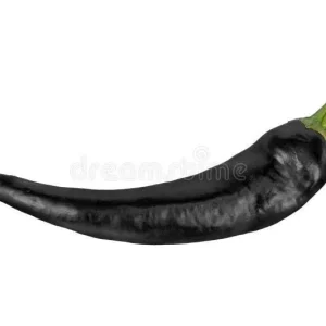 Black Cobra Pepper Live Plant 4