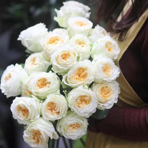 Butter Cup Rose Live Plant – Creamy Yellow Double Flowers – Multi-Season Blooming – 100-120 cm Tall - Image 8