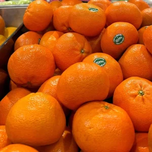 California Mandarin Seedling Live Plant – 5-12 inch Tall – Grown from Seed – Outdoor Fruit Tree - Image 2