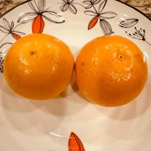 California Mandarin Seedling Live Plant – 5-12 inch Tall – Grown from Seed – Outdoor Fruit Tree - Image 3