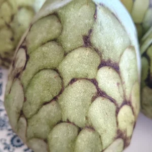 Cherimoya Honey Heart Custard Apple Seeds - Organic Fruit Seeds - 5 Seeds Outdoor - Image 1