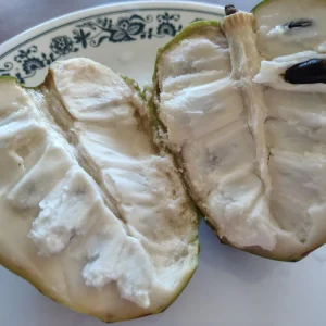 Cherimoya Honey Heart Custard Apple Seeds - Organic Fruit Seeds - 5 Seeds Outdoor - Image 2