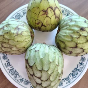 Cherimoya Honey Heart Custard Apple Seeds - Organic Fruit Seeds - 5 Seeds Outdoor - Image 3