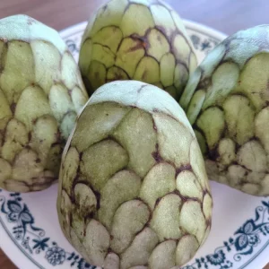 Cherimoya Honey Heart Custard Apple Seeds - Organic Fruit Seeds - 5 Seeds Outdoor - Image 4