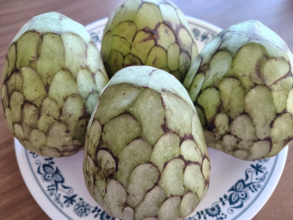 Cherimoya Honey Heart Custard Apple Seeds - Organic Fruit Seeds - 5 Seeds Outdoor - Image 4