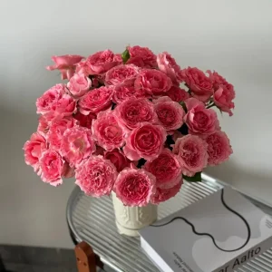 Corail Gelee Rose Live Plant – Heat & Disease Resistant, 150-180 cm Tall, Zones 5-10 Outdoor - Image 4