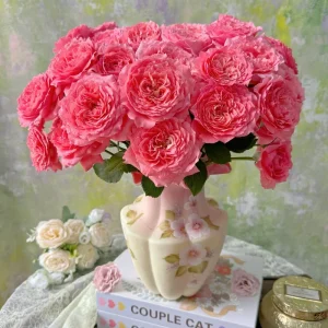 Corail Gelee Rose Live Plant – Heat & Disease Resistant, 150-180 cm Tall, Zones 5-10 Outdoor - Image 1