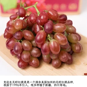 Crimson Seedless Grape Vine Bare Root Live Plant - Sweet Table Grapes - Image 5