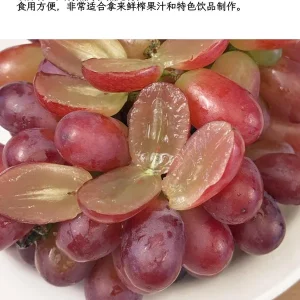 Crimson Seedless Grape Vine Bare Root Live Plant - Sweet Table Grapes - Image 6