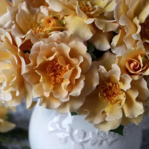 Eventail d'or Rose Live Plant - Double Petal Tea/Coffee Color Blooms, 8 cm - Image 3