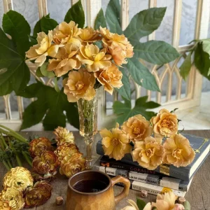 Eventail d'or Rose Live Plant - Double Petal Tea/Coffee Color Blooms, 8 cm - Image 5