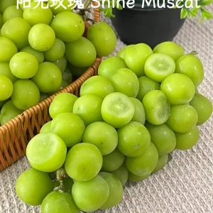 Grafted Grape Vine Seedlings - Mixed Variety Sweet Fruit Plant for Backyard Garden, 1 Plant - Image 3