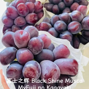 Grafted Grape Vine Seedlings - Mixed Variety Sweet Fruit Plant for Backyard Garden, 1 Plant - Image 6